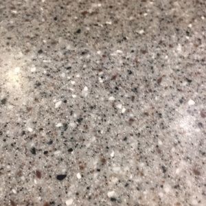 Meet your Posher, Shane